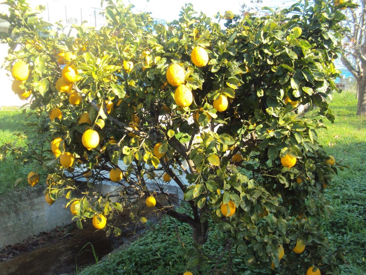 Villa Nostos Koróni Esterno foto