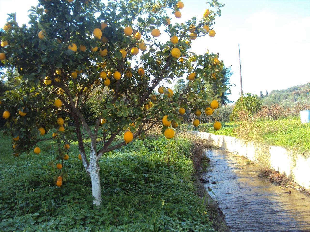 Villa Nostos Koróni Esterno foto