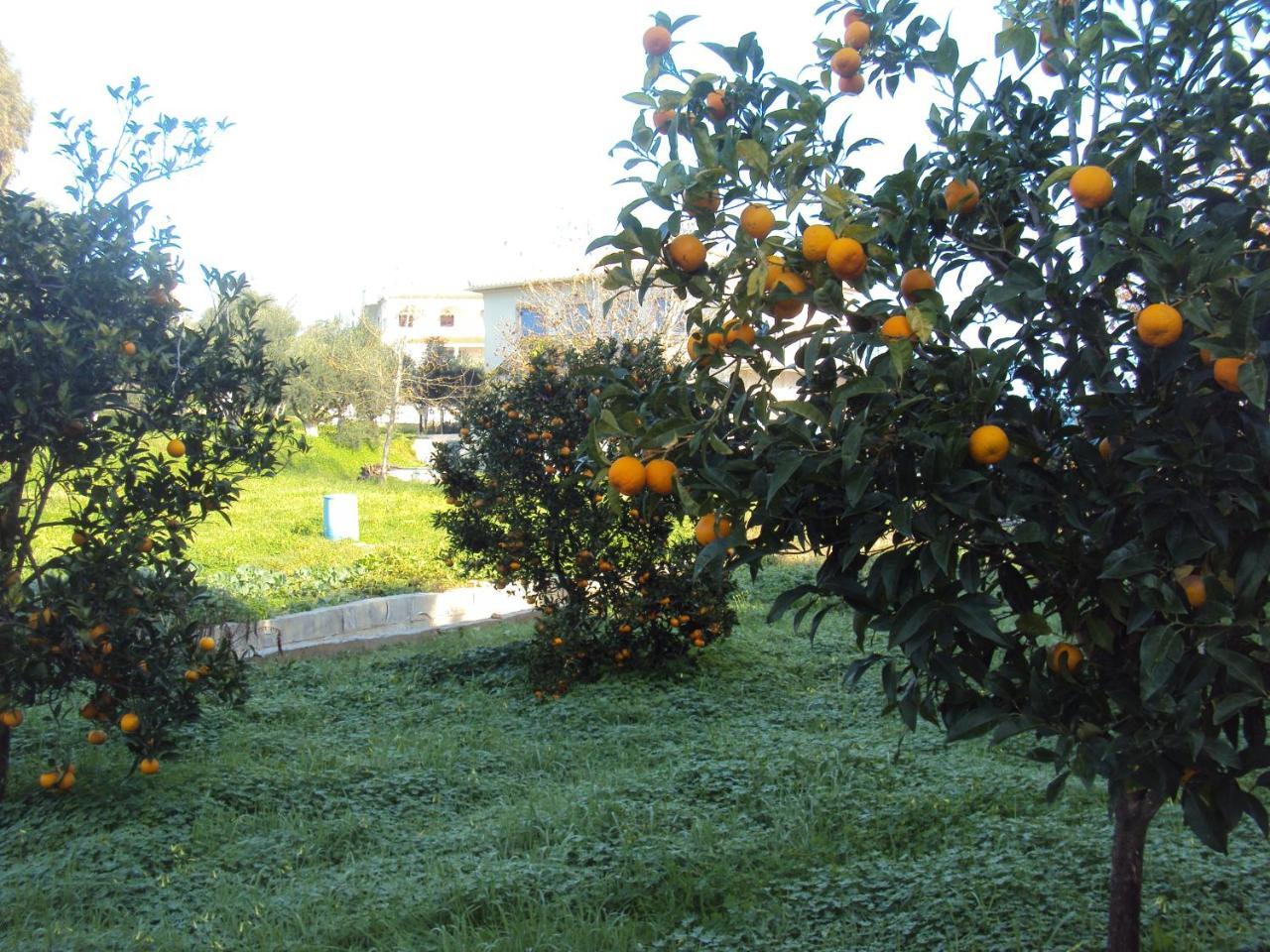 Villa Nostos Koróni Esterno foto